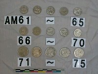 藏品(澳洲五分硬幣)的圖片